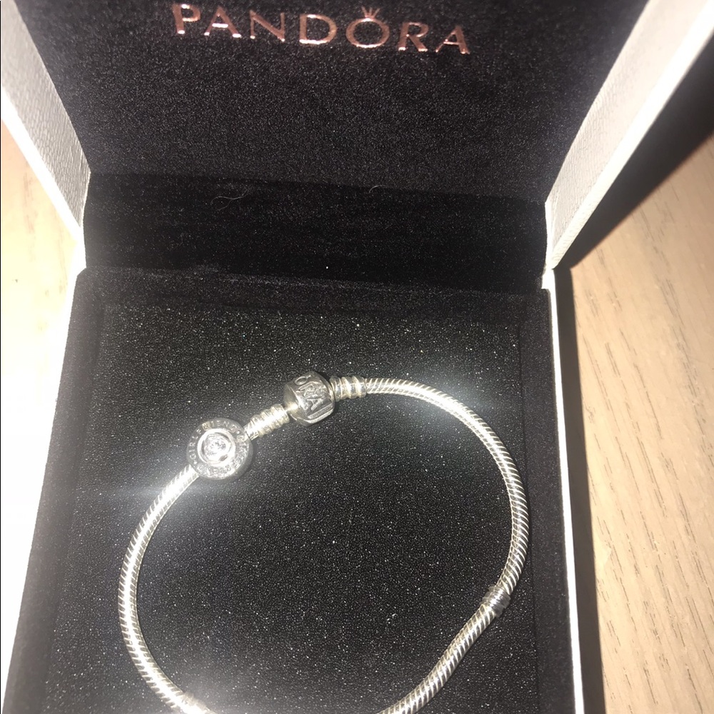 pandora bracelet with charm